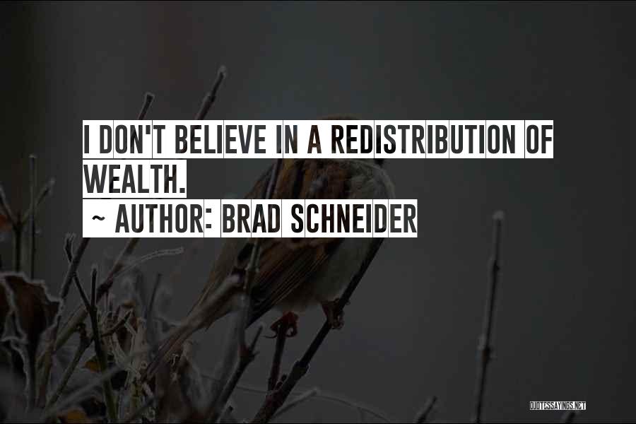 Brad Schneider Quotes: I Don't Believe In A Redistribution Of Wealth.