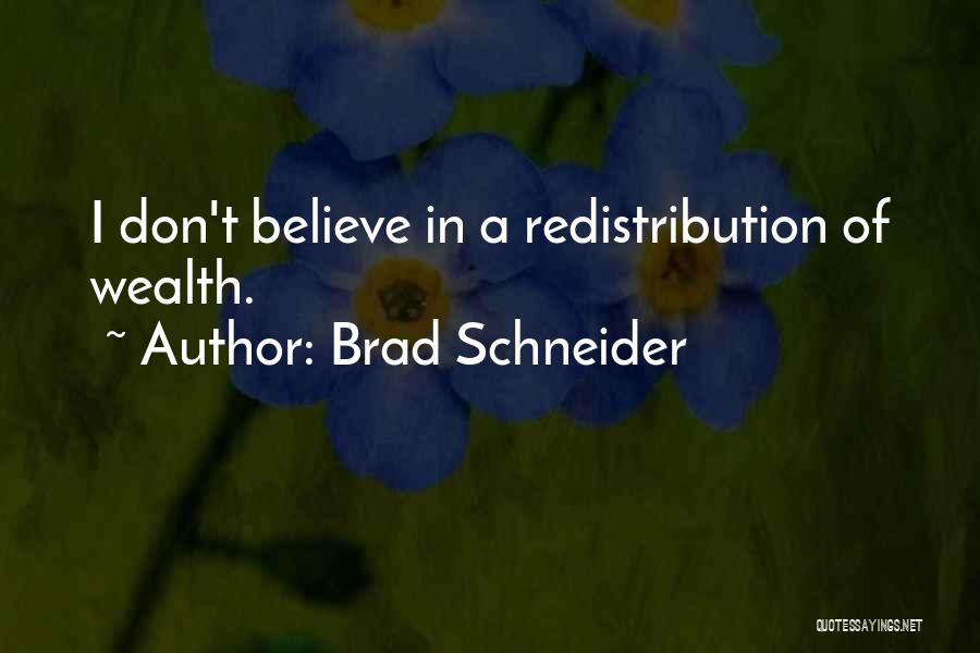 Brad Schneider Quotes: I Don't Believe In A Redistribution Of Wealth.