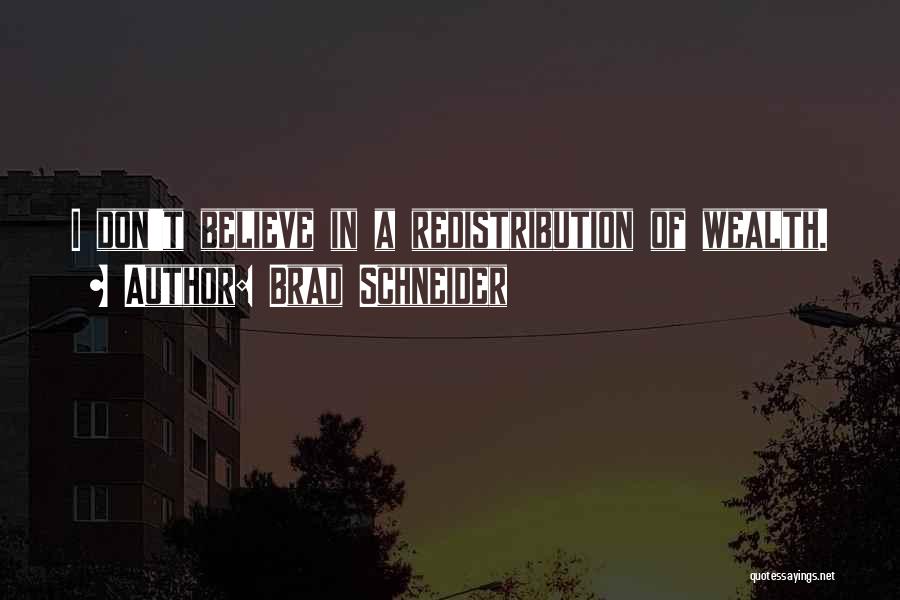 Brad Schneider Quotes: I Don't Believe In A Redistribution Of Wealth.