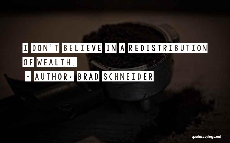 Brad Schneider Quotes: I Don't Believe In A Redistribution Of Wealth.