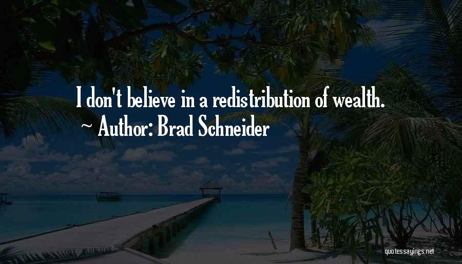 Brad Schneider Quotes: I Don't Believe In A Redistribution Of Wealth.