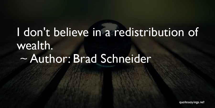 Brad Schneider Quotes: I Don't Believe In A Redistribution Of Wealth.