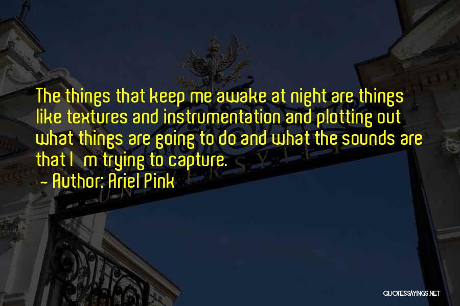 Ariel Pink Quotes: The Things That Keep Me Awake At Night Are Things Like Textures And Instrumentation And Plotting Out What Things Are