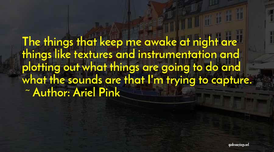 Ariel Pink Quotes: The Things That Keep Me Awake At Night Are Things Like Textures And Instrumentation And Plotting Out What Things Are