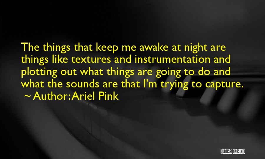 Ariel Pink Quotes: The Things That Keep Me Awake At Night Are Things Like Textures And Instrumentation And Plotting Out What Things Are