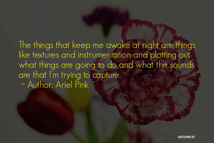 Ariel Pink Quotes: The Things That Keep Me Awake At Night Are Things Like Textures And Instrumentation And Plotting Out What Things Are