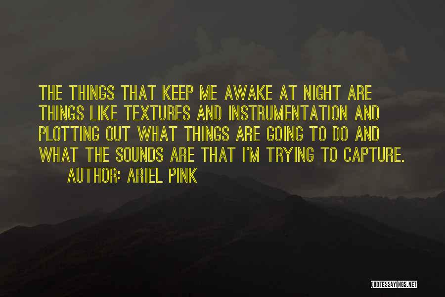 Ariel Pink Quotes: The Things That Keep Me Awake At Night Are Things Like Textures And Instrumentation And Plotting Out What Things Are