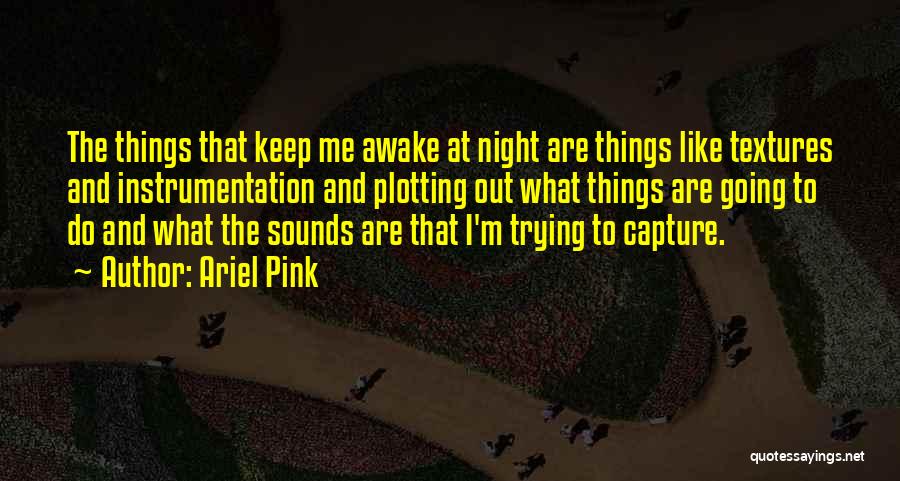 Ariel Pink Quotes: The Things That Keep Me Awake At Night Are Things Like Textures And Instrumentation And Plotting Out What Things Are