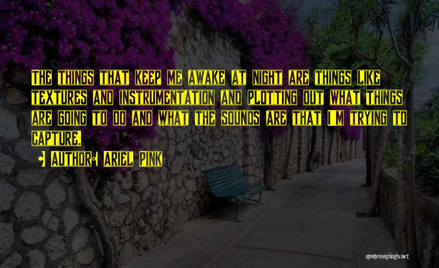 Ariel Pink Quotes: The Things That Keep Me Awake At Night Are Things Like Textures And Instrumentation And Plotting Out What Things Are