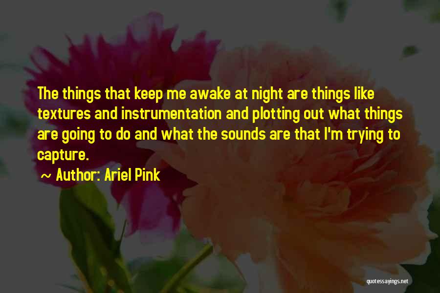 Ariel Pink Quotes: The Things That Keep Me Awake At Night Are Things Like Textures And Instrumentation And Plotting Out What Things Are