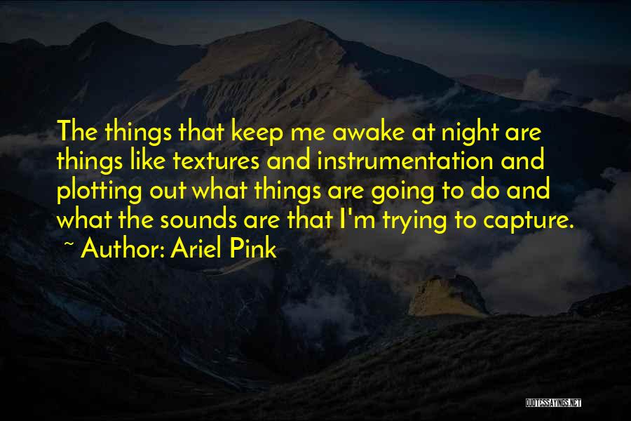 Ariel Pink Quotes: The Things That Keep Me Awake At Night Are Things Like Textures And Instrumentation And Plotting Out What Things Are