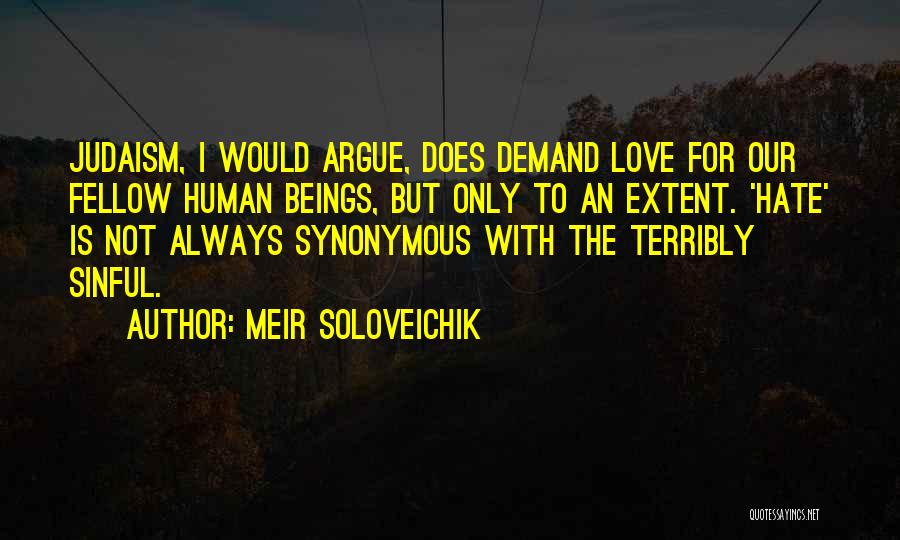 Meir Soloveichik Quotes: Judaism, I Would Argue, Does Demand Love For Our Fellow Human Beings, But Only To An Extent. 'hate' Is Not