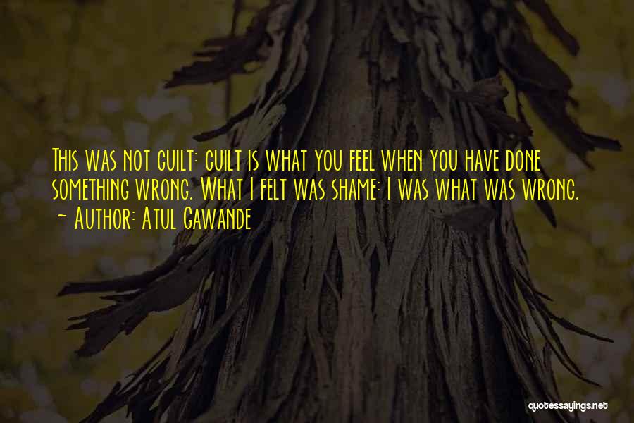 Atul Gawande Quotes: This Was Not Guilt: Guilt Is What You Feel When You Have Done Something Wrong. What I Felt Was Shame: