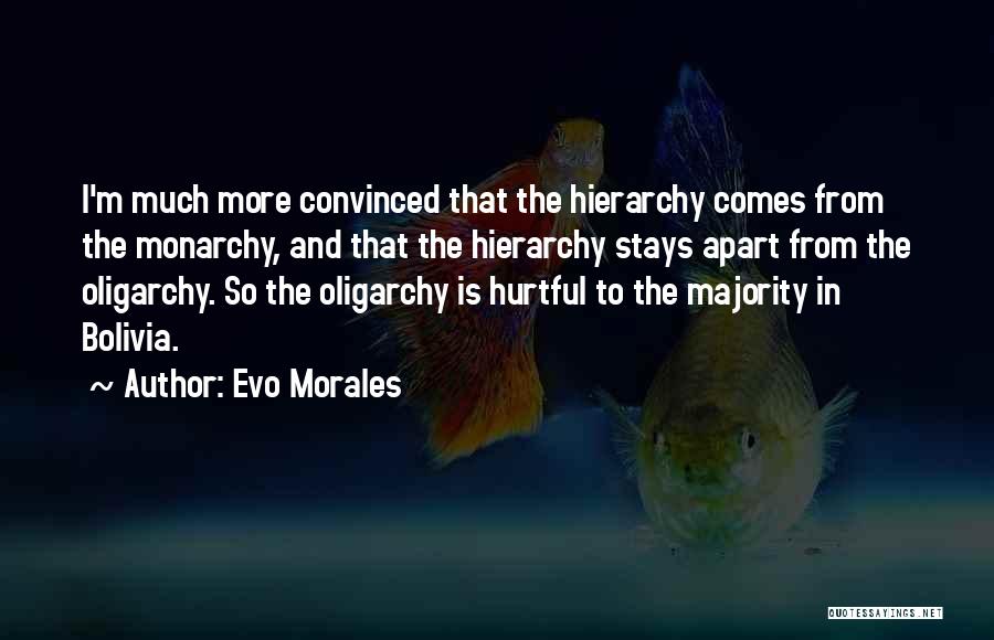 Evo Morales Quotes: I'm Much More Convinced That The Hierarchy Comes From The Monarchy, And That The Hierarchy Stays Apart From The Oligarchy.