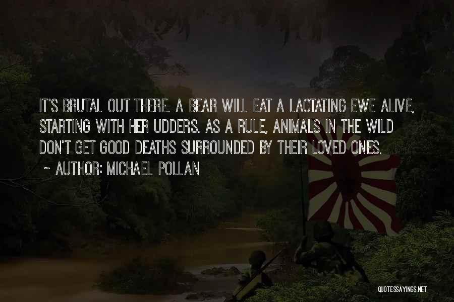 Michael Pollan Quotes: It's Brutal Out There. A Bear Will Eat A Lactating Ewe Alive, Starting With Her Udders. As A Rule, Animals