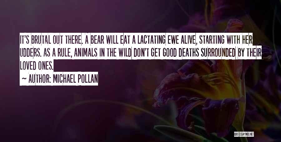 Michael Pollan Quotes: It's Brutal Out There. A Bear Will Eat A Lactating Ewe Alive, Starting With Her Udders. As A Rule, Animals