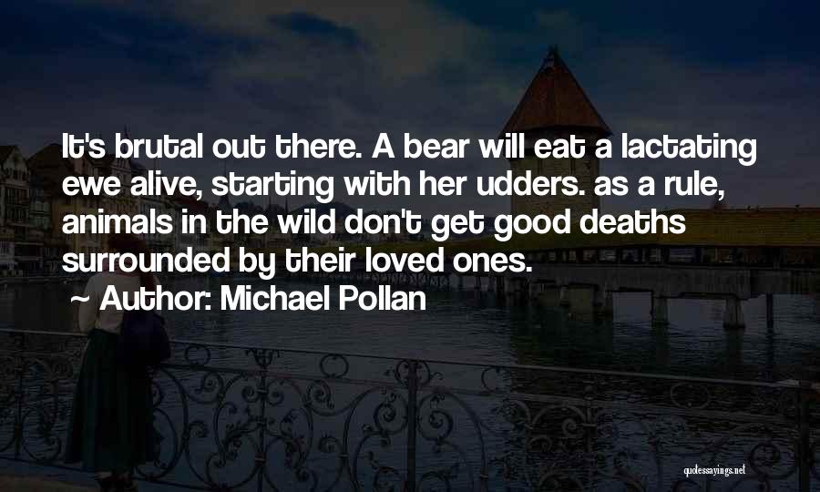 Michael Pollan Quotes: It's Brutal Out There. A Bear Will Eat A Lactating Ewe Alive, Starting With Her Udders. As A Rule, Animals