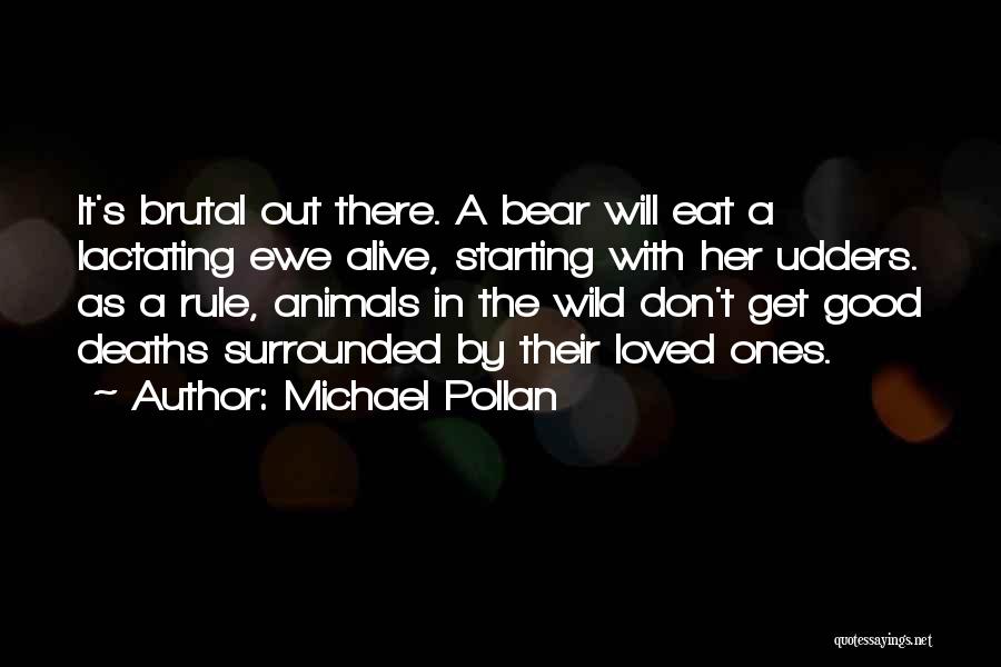 Michael Pollan Quotes: It's Brutal Out There. A Bear Will Eat A Lactating Ewe Alive, Starting With Her Udders. As A Rule, Animals