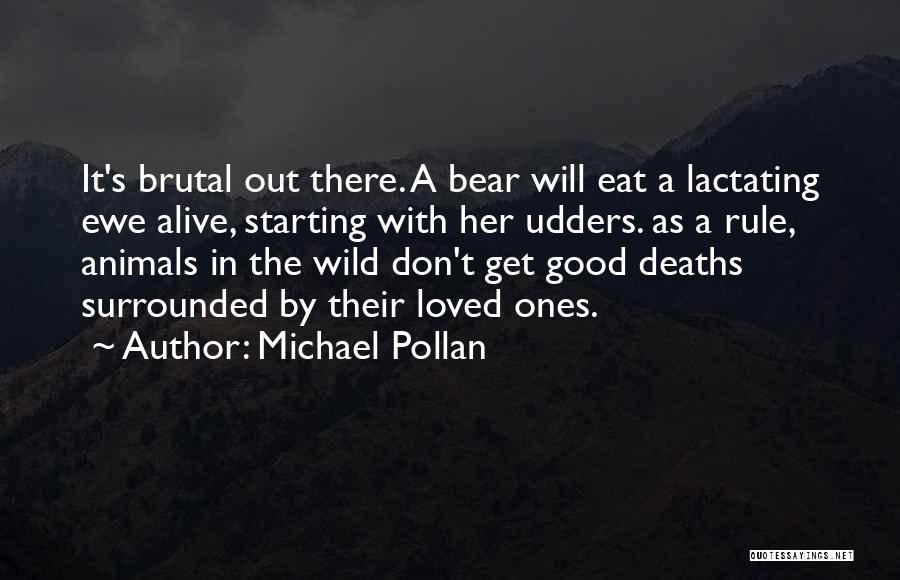 Michael Pollan Quotes: It's Brutal Out There. A Bear Will Eat A Lactating Ewe Alive, Starting With Her Udders. As A Rule, Animals