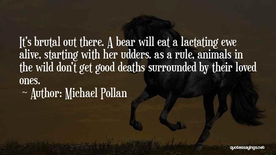 Michael Pollan Quotes: It's Brutal Out There. A Bear Will Eat A Lactating Ewe Alive, Starting With Her Udders. As A Rule, Animals