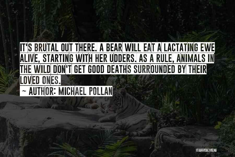 Michael Pollan Quotes: It's Brutal Out There. A Bear Will Eat A Lactating Ewe Alive, Starting With Her Udders. As A Rule, Animals