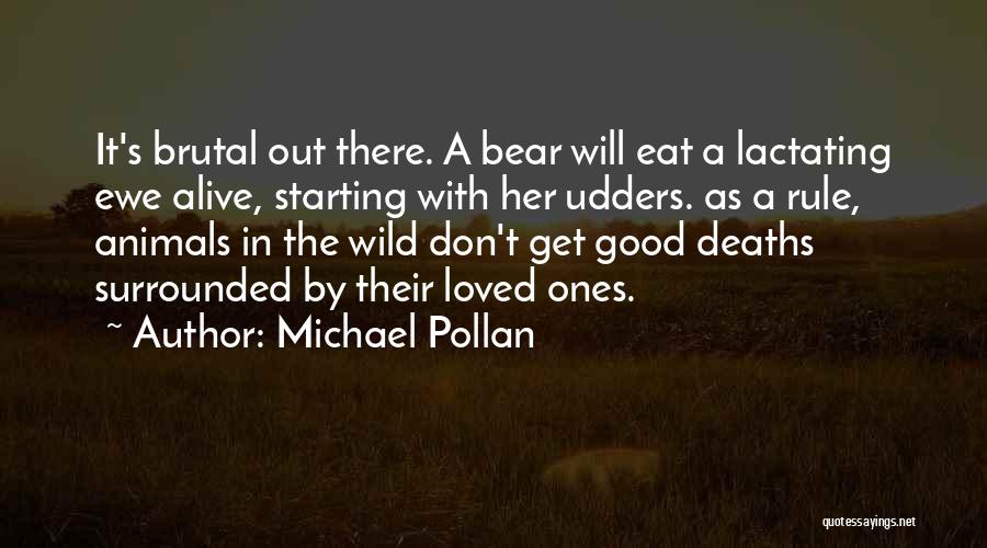 Michael Pollan Quotes: It's Brutal Out There. A Bear Will Eat A Lactating Ewe Alive, Starting With Her Udders. As A Rule, Animals