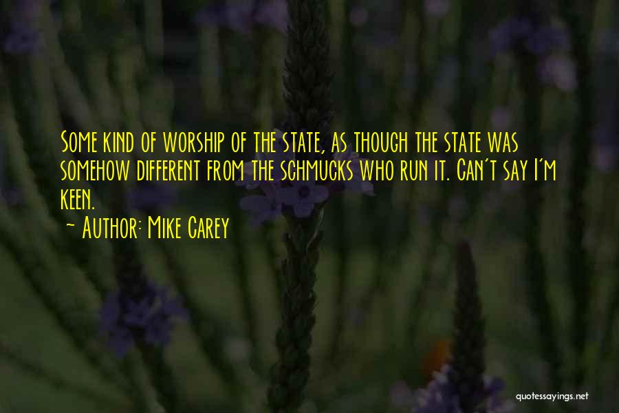 Mike Carey Quotes: Some Kind Of Worship Of The State, As Though The State Was Somehow Different From The Schmucks Who Run It.