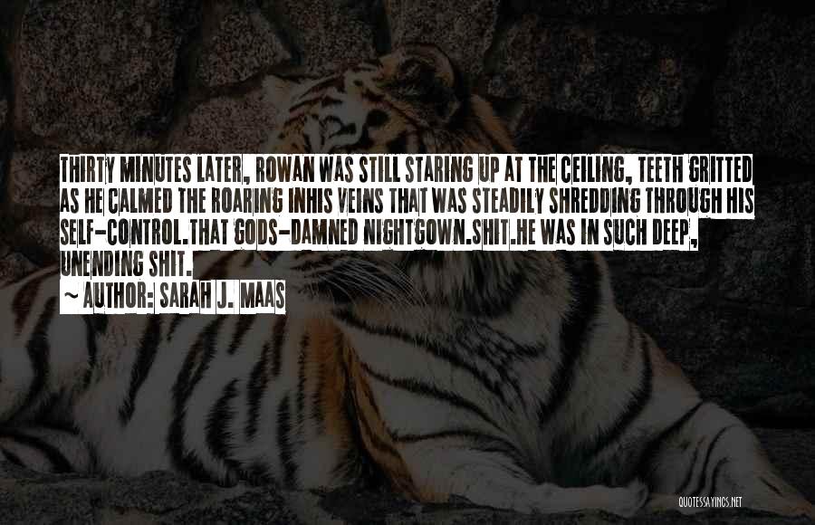 Sarah J. Maas Quotes: Thirty Minutes Later, Rowan Was Still Staring Up At The Ceiling, Teeth Gritted As He Calmed The Roaring Inhis Veins