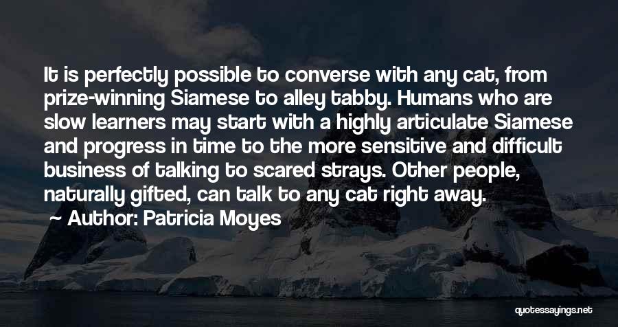 Patricia Moyes Quotes: It Is Perfectly Possible To Converse With Any Cat, From Prize-winning Siamese To Alley Tabby. Humans Who Are Slow Learners