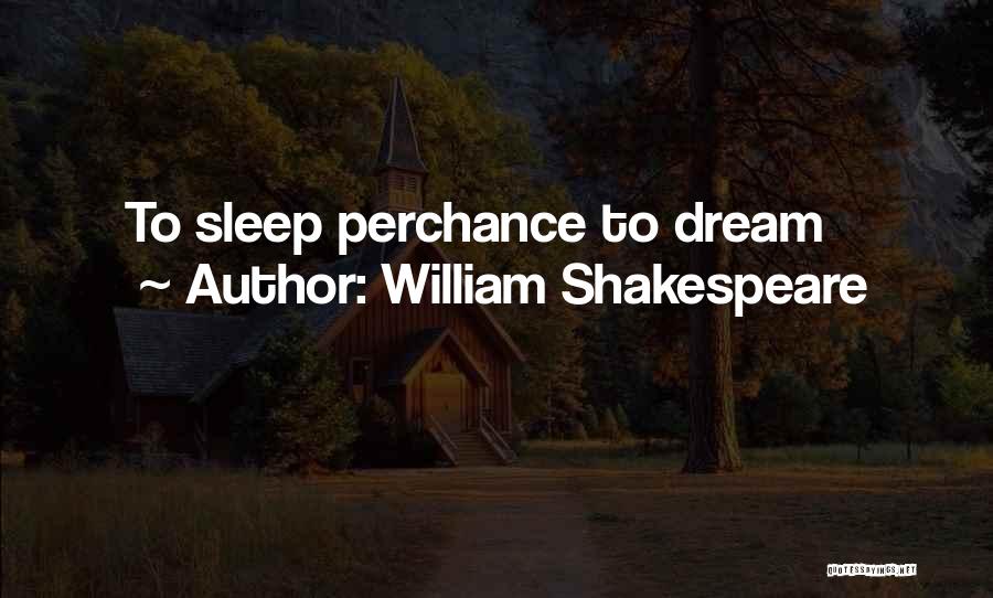 William Shakespeare Quotes: To Sleep Perchance To Dream