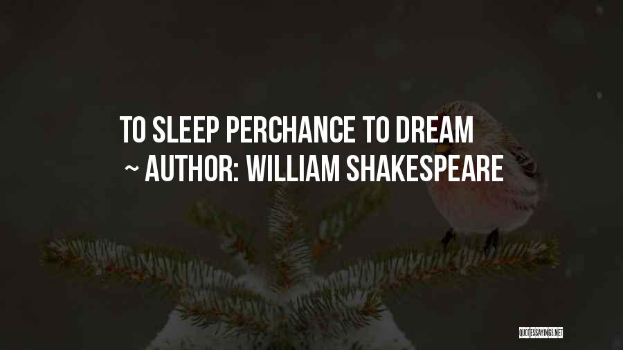 William Shakespeare Quotes: To Sleep Perchance To Dream