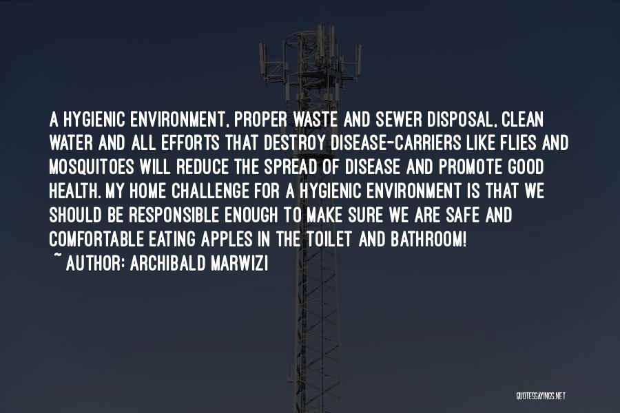 Archibald Marwizi Quotes: A Hygienic Environment, Proper Waste And Sewer Disposal, Clean Water And All Efforts That Destroy Disease-carriers Like Flies And Mosquitoes