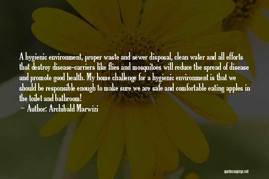Archibald Marwizi Quotes: A Hygienic Environment, Proper Waste And Sewer Disposal, Clean Water And All Efforts That Destroy Disease-carriers Like Flies And Mosquitoes