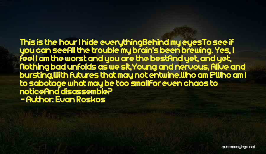 Evan Roskos Quotes: This Is The Hour I Hide Everythingbehind My Eyesto See If You Can Seeall The Trouble My Brain's Been Brewing.