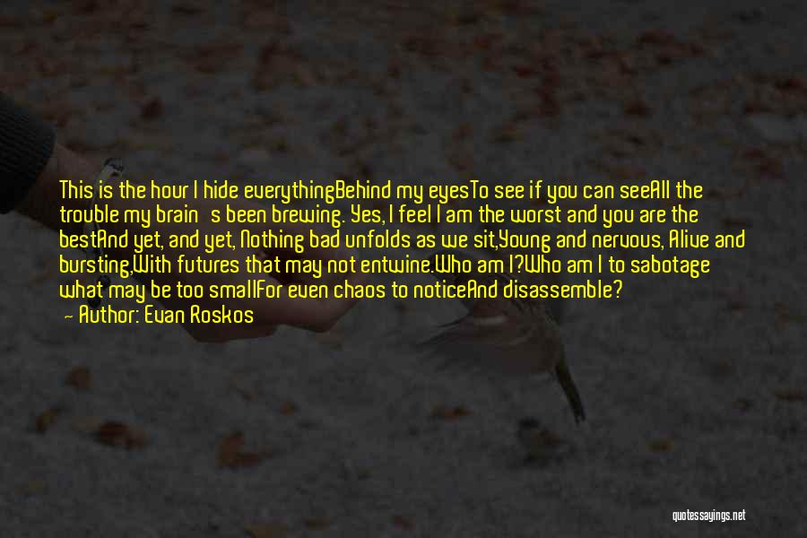 Evan Roskos Quotes: This Is The Hour I Hide Everythingbehind My Eyesto See If You Can Seeall The Trouble My Brain's Been Brewing.