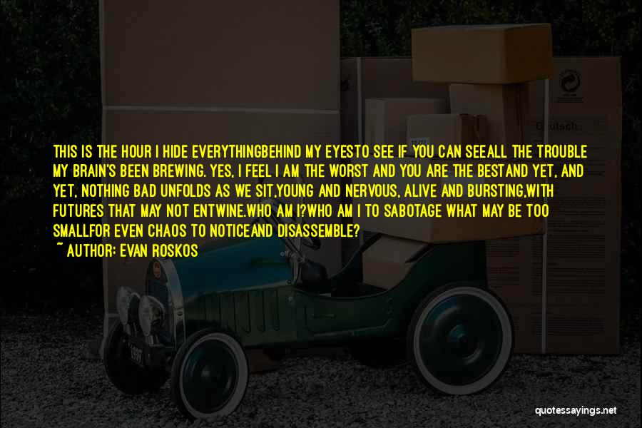 Evan Roskos Quotes: This Is The Hour I Hide Everythingbehind My Eyesto See If You Can Seeall The Trouble My Brain's Been Brewing.