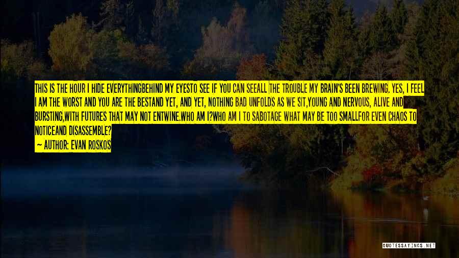 Evan Roskos Quotes: This Is The Hour I Hide Everythingbehind My Eyesto See If You Can Seeall The Trouble My Brain's Been Brewing.