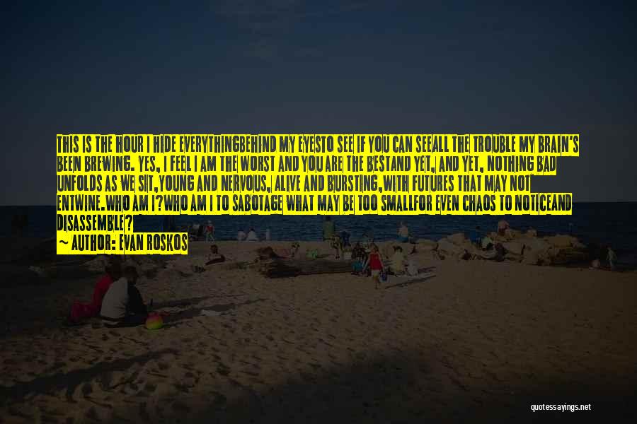 Evan Roskos Quotes: This Is The Hour I Hide Everythingbehind My Eyesto See If You Can Seeall The Trouble My Brain's Been Brewing.
