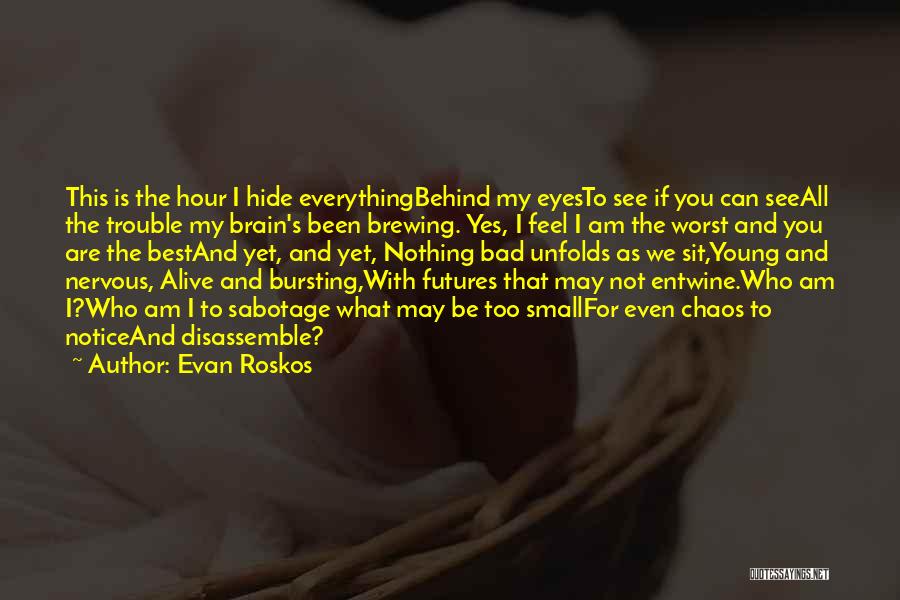 Evan Roskos Quotes: This Is The Hour I Hide Everythingbehind My Eyesto See If You Can Seeall The Trouble My Brain's Been Brewing.