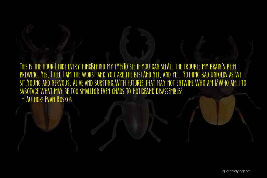 Evan Roskos Quotes: This Is The Hour I Hide Everythingbehind My Eyesto See If You Can Seeall The Trouble My Brain's Been Brewing.