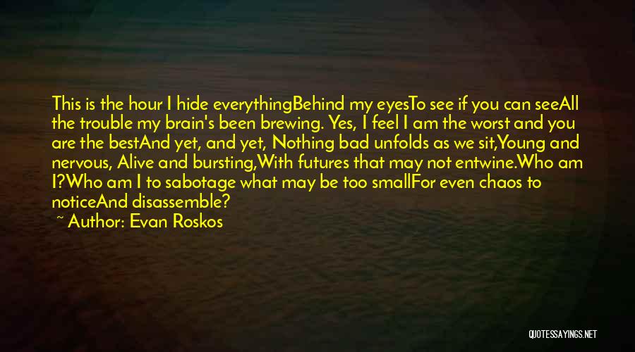 Evan Roskos Quotes: This Is The Hour I Hide Everythingbehind My Eyesto See If You Can Seeall The Trouble My Brain's Been Brewing.