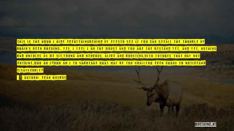 Evan Roskos Quotes: This Is The Hour I Hide Everythingbehind My Eyesto See If You Can Seeall The Trouble My Brain's Been Brewing.