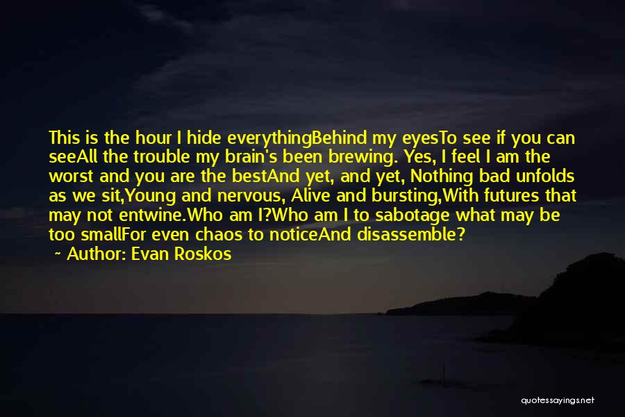 Evan Roskos Quotes: This Is The Hour I Hide Everythingbehind My Eyesto See If You Can Seeall The Trouble My Brain's Been Brewing.