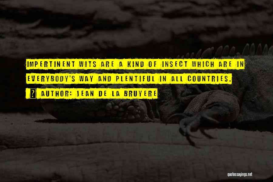 Jean De La Bruyere Quotes: Impertinent Wits Are A Kind Of Insect Which Are In Everybody's Way And Plentiful In All Countries.