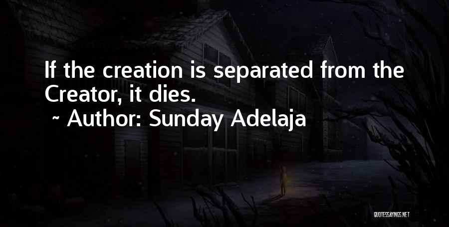 Sunday Adelaja Quotes: If The Creation Is Separated From The Creator, It Dies.