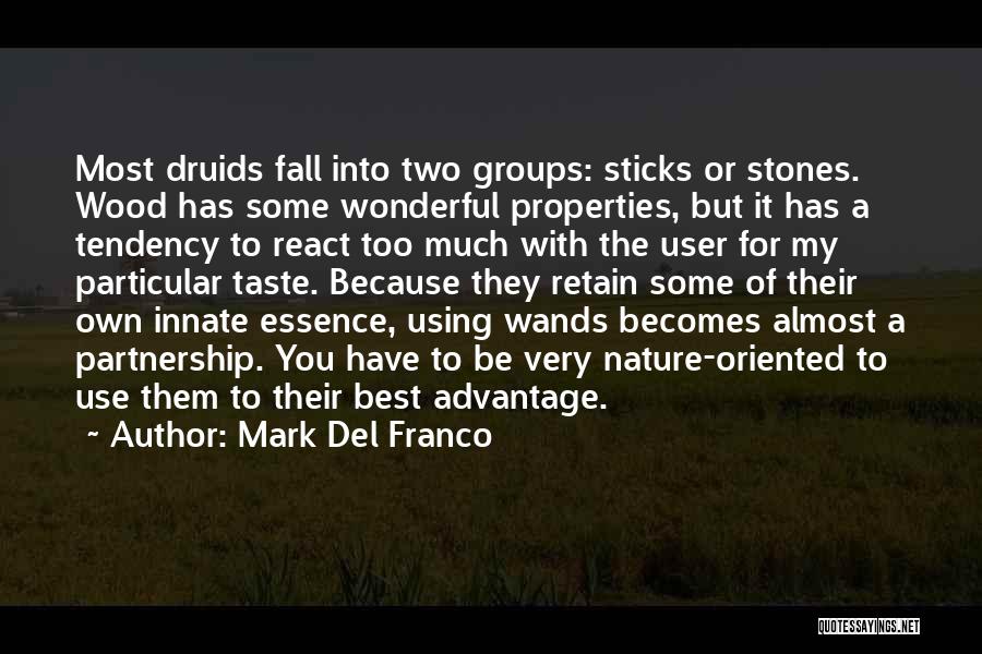 Mark Del Franco Quotes: Most Druids Fall Into Two Groups: Sticks Or Stones. Wood Has Some Wonderful Properties, But It Has A Tendency To