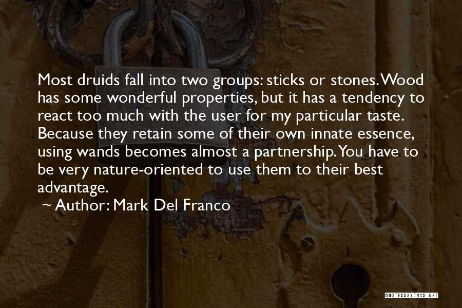 Mark Del Franco Quotes: Most Druids Fall Into Two Groups: Sticks Or Stones. Wood Has Some Wonderful Properties, But It Has A Tendency To