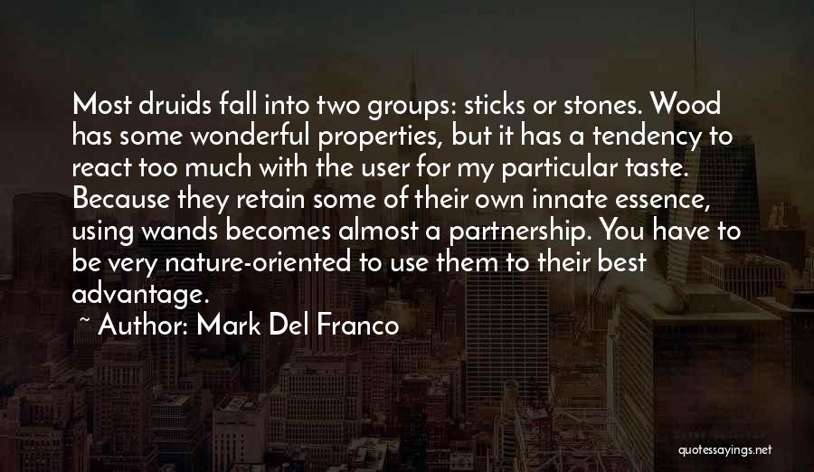 Mark Del Franco Quotes: Most Druids Fall Into Two Groups: Sticks Or Stones. Wood Has Some Wonderful Properties, But It Has A Tendency To