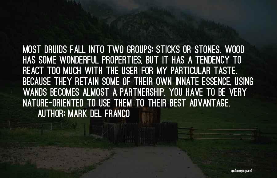 Mark Del Franco Quotes: Most Druids Fall Into Two Groups: Sticks Or Stones. Wood Has Some Wonderful Properties, But It Has A Tendency To