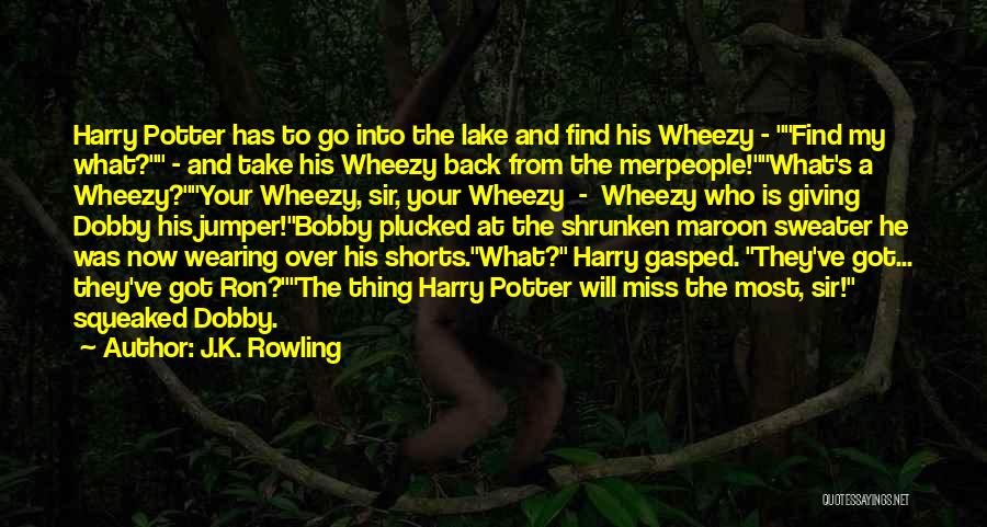 J.K. Rowling Quotes: Harry Potter Has To Go Into The Lake And Find His Wheezy - Find My What? - And Take His